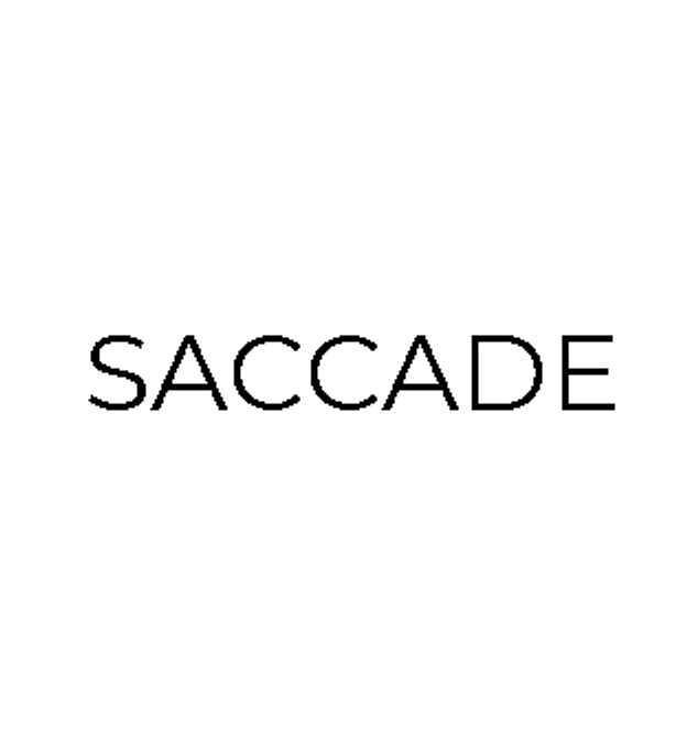 Saccade Avant Cap Plan de Campagne Centre commercial Boutiques Bagagerie Bagage Sac Sacoche Shopping